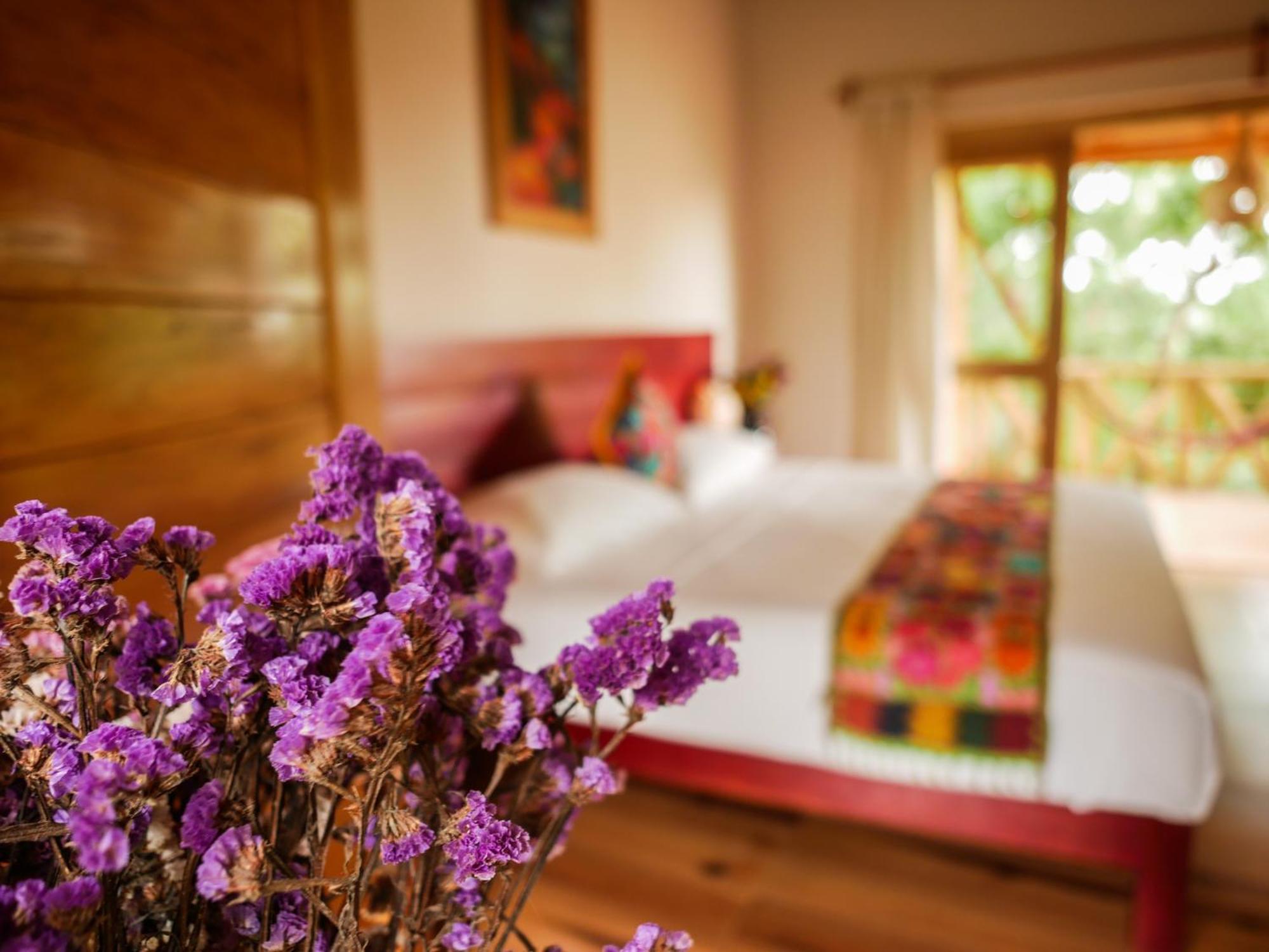 Carpe Diem Casitas & Villas Mazunte Værelse billede