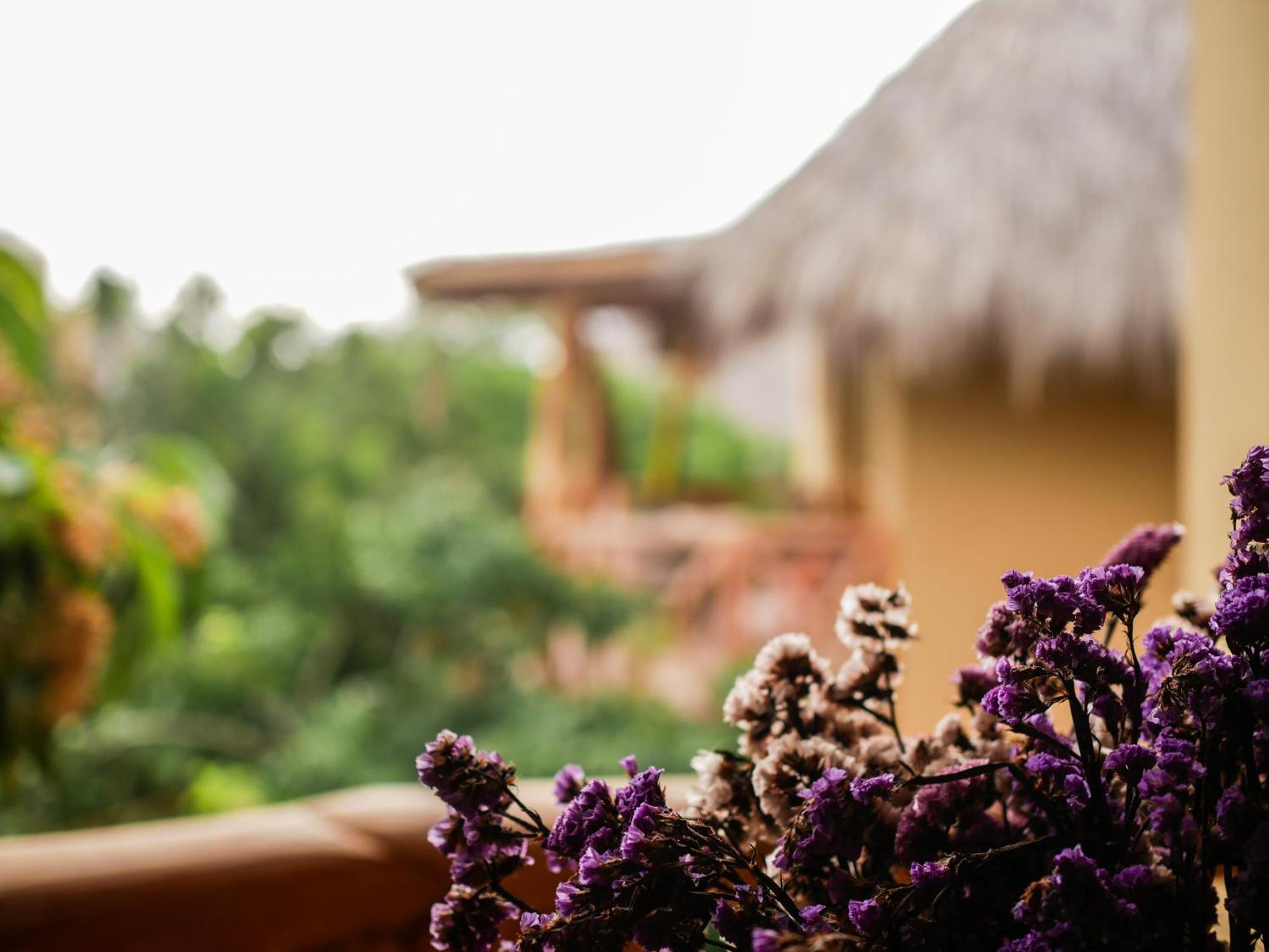 Carpe Diem Casitas & Villas Mazunte Værelse billede